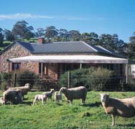 Amanda Stichbury Cottage - Lismore Accommodation