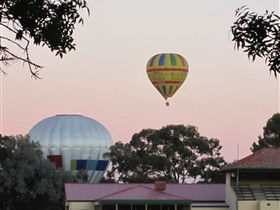 Barossa Valley Tourist Park - Lismore Accommodation 0