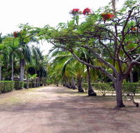 Alva Beach Tourist Park - Lismore Accommodation