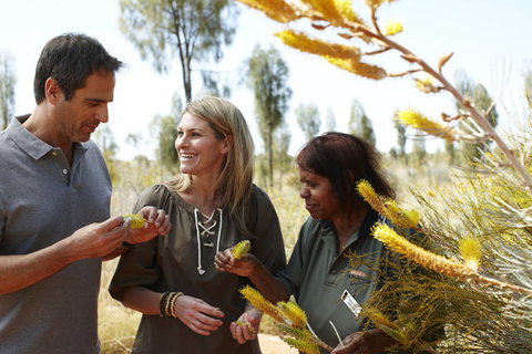 Ayers Rock Campground - Lismore Accommodation 2