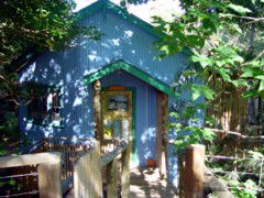 Blue Poles Cafe, Gallery & B&B - Lismore Accommodation 0