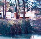 Burra Caravan and Camping Park - Lismore Accommodation
