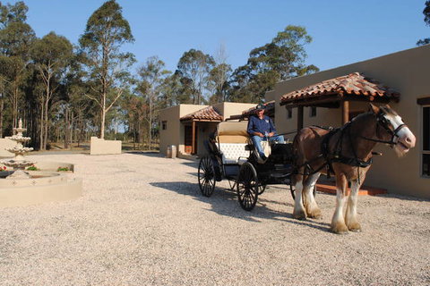 Casa La Vina - Lismore Accommodation 2