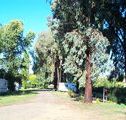 Cudal Caravan Park - Lismore Accommodation