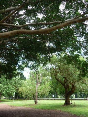 Discovery Holiday Parks - Darwin - Lismore Accommodation 10