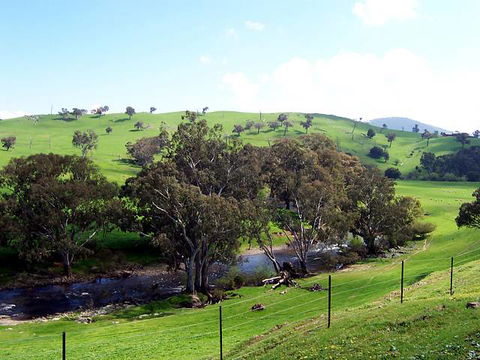 Elm Cottage - Tumut - Lismore Accommodation 4