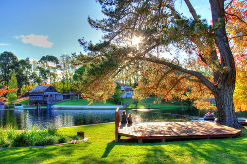 Fontys Pool Caravan Park And Chalets - Lismore Accommodation 2