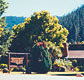 High Country Motor Inn - Lismore Accommodation