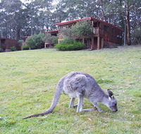 Jenolan Caves Cottages - Lismore Accommodation