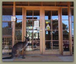 Kangaroo Island Wilderness Retreat - Lismore Accommodation 1