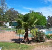 Lake Burrinjuck Leisure Resort - Lismore Accommodation