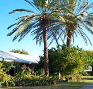 Merino Motor Inn - Lismore Accommodation