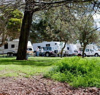Moss Vale Village Caravan Park - Lismore Accommodation