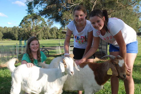 Mountain View Resort - Lismore Accommodation 1