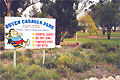 Ouyen Caravan Park - Lismore Accommodation 0