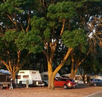 Queen Victoria Jubilee Park - Lismore Accommodation