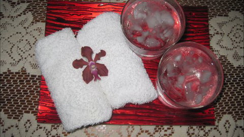 Bromeliad Bed And Breakfast - Lismore Accommodation 6