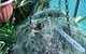 Bromeliad Bed And Breakfast - thumb 13