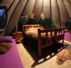 Aranyani Bison Adventure Tourist Park - Lismore Accommodation