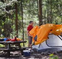 Bald Rock campground and picnic area - Lismore Accommodation