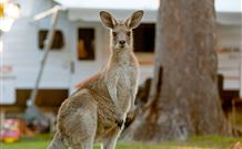 BIG4 Sunshine South West Rocks Holiday Park - South - Lismore Accommodation 3