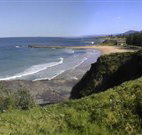 Coledale Beach Camping Reserve - Lismore Accommodation