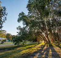 Delicate campground - Lismore Accommodation
