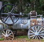 Dingo Tops campground - Lismore Accommodation