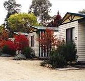Riverview Caravan Park - Lismore Accommodation