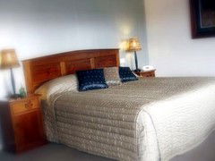 Saltbush Motor Inn - Lismore Accommodation 4
