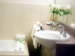 Saltbush Motor Inn - Lismore Accommodation 5