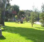 Sapphire Sun Eco Holiday Village - Lismore Accommodation