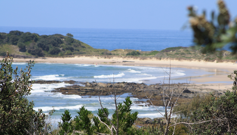 The Bowlo Holiday Cabins - Lismore Accommodation 0