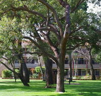 Trinity - Lismore Accommodation