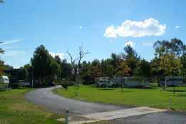 Wairo Beach Tourist Park - Lismore Accommodation 0