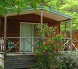 Wombeyan Caves Caravan & Camping Reserve - Lismore Accommodation 1