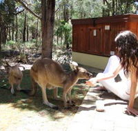 Yelverton Brook Eco Spa Retreat and Conservation Sanctuary - Lismore Accommodation