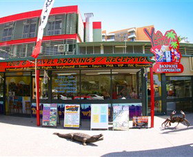 Youth Shack - Lismore Accommodation 3