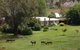 Acacia Park Farm House - thumb 0