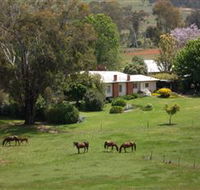 Acacia Park Farm House - Lismore Accommodation