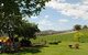 Acacia Park Farm House - thumb 3