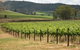 Acacia Park Farm House - thumb 7
