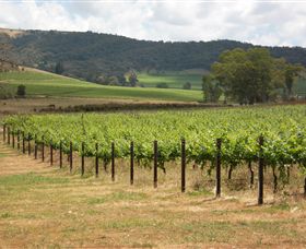 Acacia Park Farm House - Lismore Accommodation 7