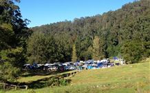 Ferndale Caravan Park - Lismore Accommodation 1