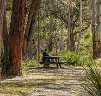 Koreelah Creek campground - Lismore Accommodation