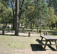Lemon Tree Flat campground - Lismore Accommodation