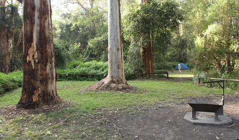 Mill Creek Campground - Lismore Accommodation 2