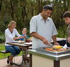 Port Stephens Treescape - Lismore Accommodation