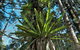 Rummery Park Campground - thumb 0