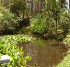 Tallowood Ridge B and B - Lismore Accommodation